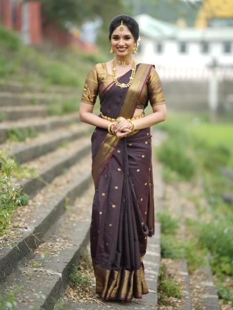 Malhar banarasi soft silk surat cloth market wholesale rate